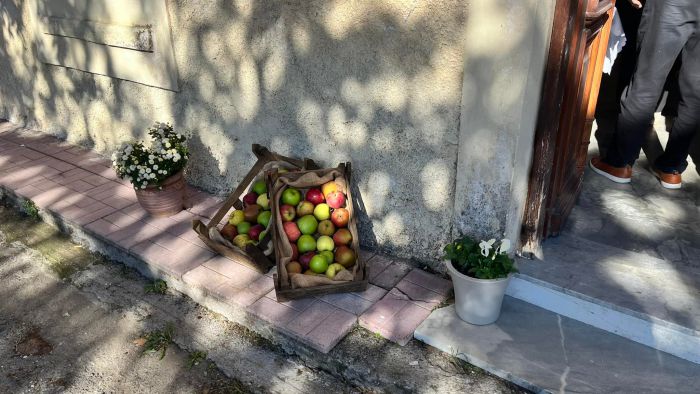 Γιορτή μήλου στο χωριό Στρίγκου Τεγέας