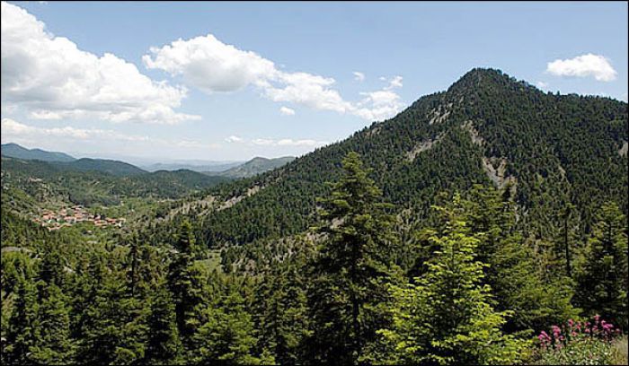 Πρόταση στο Life για την ανάδειξη του Πάρκου Μαινάλου!