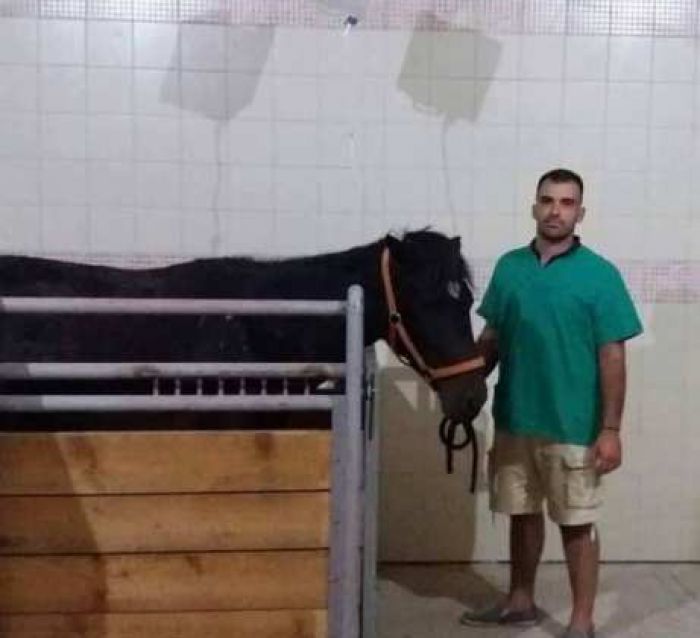 Αισιόδοξα τα νέα για το άλογο που νοσηλεύεται στην Κυνουρία -Τι δήλωσε ο κτηνίατρος Κ. Κουρμπέλης