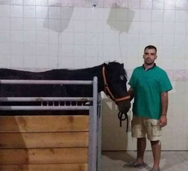 Αισιόδοξα τα νέα για το άλογο που νοσηλεύεται στην Κυνουρία -Τι δήλωσε ο κτηνίατρος Κ. Κουρμπέλης