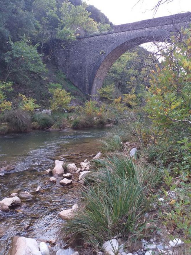"Αξίζει να προστατεύσουμε τον Ερύμανθο, ας κινητοποιηθούμε"