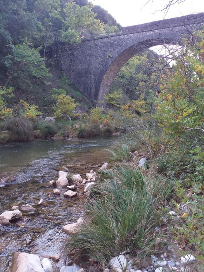 "Αξίζει να προστατεύσουμε τον Ερύμανθο, ας κινητοποιηθούμε"