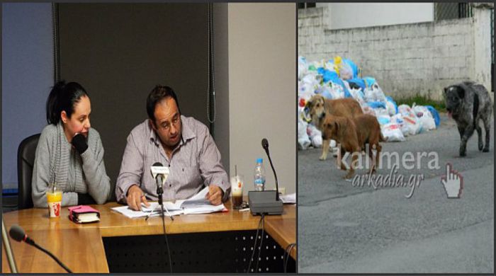 &Pi;&rho;&omicron;&tau;ά&sigma;&epsilon;&iota;&sigmaf; &gamma;&iota;&alpha; &tau;&eta; &delta;&iota;&alpha;&chi;&epsilon;ί&rho;&iota;&sigma;&eta; &tau;&omega;&nu; &alpha;&delta;έ&sigma;&pi;&omicron;&tau;&omega;&nu; &zeta;ώ&omega;&nu; &sigma;&tau;&omicron; &Delta;ή&mu;&omicron; &Tau;&rho;ί&pi;&omicron;&lambda;&eta;&sigmaf;