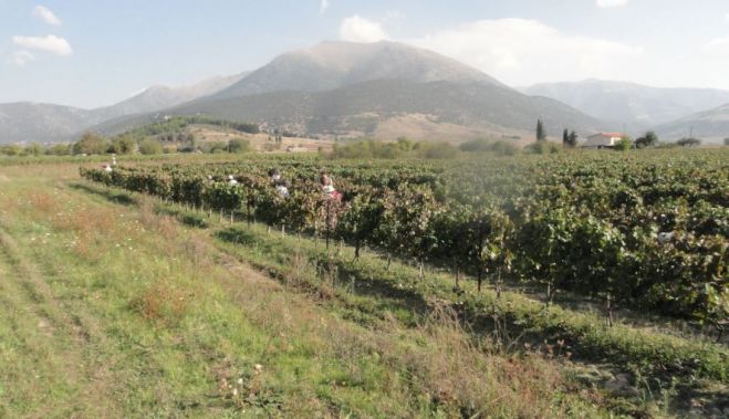 &Pi;&omicron;&delta;&eta;&lambda;&alpha;&tau;ά&delta;&alpha; &xi;&epsilon;&kappa;&iota;&nu;ά &tau;&omicron; &Sigma;ά&beta;&beta;&alpha;&tau;&omicron; &alpha;&pi;ό &tau;&eta;&nu; &Pi;&lambda;&alpha;&tau;&epsilon;ί&alpha; &Pi;&epsilon;&tau;&rho;&iota;&nu;&omicron;ύ
