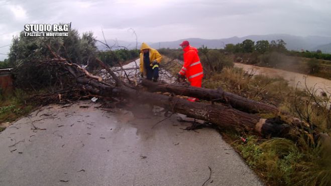 Βομβαρδισμένο τοπίο η Αργολίδα από το πέρασμα του κυκλώνα &quot;Ζορμπά&quot; (εικόνες)