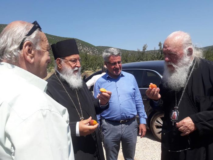 Στην Αρκαδία ο Αρχιεπίσκοπος Ιερώνυμος - Πήγε στη συγκομιδή βερίκοκων στην Κυνουρία! (εικόνες)