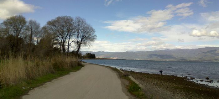 &Xi;&epsilon;&kappa;&iota;&nu;&omicron;ύ&nu; έ&rho;&gamma;&alpha; &gamma;&iota;&alpha; &tau;&eta; &sigma;&upsilon;&nu;&tau;ή&rho;&eta;&sigma;&eta; &delta;&rho;ό&mu;&omega;&nu; &sigma;&tau;&eta;&nu; &Kappa;&upsilon;&nu;&omicron;&upsilon;&rho;ί&alpha;