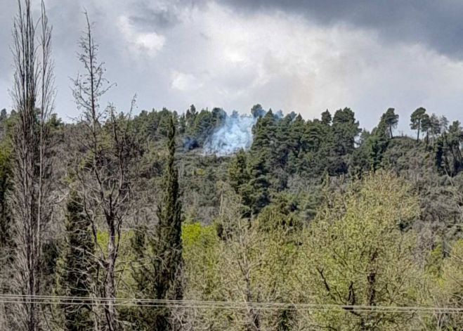 Γορτυνία | Σβήστηκε φωτιά στο Δωδεκάμετρο