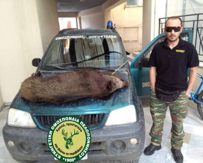 &Pi;&alpha;&rho;ά&nu;&omicron;&mu;&omicron; &kappa;&upsilon;&nu;ή&gamma;&iota; - &Nu;έ&alpha; &kappa;&rho;&omicron;ύ&sigma;&mu;&alpha;&tau;&alpha; &epsilon;&nu;&tau;ό&pi;&iota;&sigma;&epsilon; &eta; &Omicron;&mu;&omicron;&sigma;&pi;&omicron;&nu;&delta;&iota;&alpha;&kappa;ή &Theta;&eta;&rho;&omicron;&phi;&upsilon;&lambda;&alpha;&kappa;ή &sigma;&epsilon; &Pi;ά&pi;&alpha;&rho;&iota; &kappa;&alpha;&iota; &Tau;&rho;&iota;&pi;ό&tau;&alpha;&mu;&omicron;