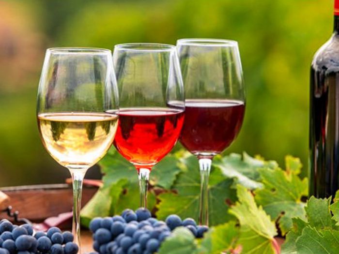 &Delta;&rho;ά&sigma;&eta; &omicron;&iota;&nu;&omicron;&tau;&omicron;&upsilon;&rho;&iota;&sigma;&mu;&omicron;ύ &sigma;&epsilon; &sigma;&upsilon;&nu;&epsilon;&rho;&gamma;&alpha;&sigma;ί&alpha; &Pi;&epsilon;&rho;&iota;&phi;έ&rho;&epsilon;&iota;&alpha;&sigmaf; &Pi;&epsilon;&lambda;&omicron;&pi;&omicron;&nu;&nu;ή&sigma;&omicron;&upsilon;, &upsilon;&pi;&omicron;&upsilon;&rho;&gamma;&epsilon;ί&omicron;&upsilon; &Tau;&omicron;&upsilon;&rho;&iota;&sigma;&mu;&omicron;ύ &kappa;&alpha;&iota; &Epsilon;&Omicron;&Tau;