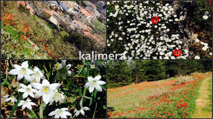 &Beta;&epsilon;&lambda;&tau;&iota;ώ&nu;&epsilon;&tau;&alpha;&iota; &xi;&alpha;&nu;ά &omicron; &kappa;&alpha;&iota;&rho;ό&sigmaf; &sigma;&tau;&eta;&nu; &Alpha;&rho;&kappa;&alpha;&delta;ί&alpha;! (vd)