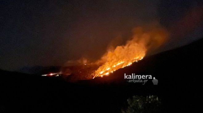 Αρκαδία | Απόφαση προκαταβολής αποζημίωσης πληγεισών εκμεταλλεύσεων από τις πυρκαγιές του Αυγούστου 2021