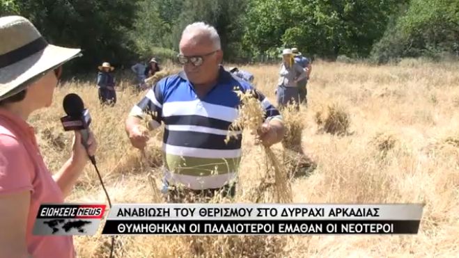 Αναβίωση του θερισμού στο Δυρράχι Αρκαδίας – Θυμήθηκαν οι παλαιότεροι έμαθαν οι νεότεροι (vd)