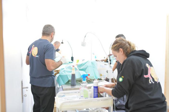 &Eta; &Epsilon;&rho;&iota;έ&tau;&tau;&alpha; &Kappa;&omicron;ύ&rho;&kappa;&omicron;&upsilon;&lambda;&omicron;&upsilon; - &Lambda;ά&tau;&sigma;&eta; &gamma;&iota;&alpha; &tau;&eta; &delta;&rho;ά&sigma;&eta; &sigma;&tau;&eta;&nu; &Tau;&rho;ί&pi;&omicron;&lambda;&eta;: "&Pi;&rho;&omicron;&chi;&omega;&rho;ή&sigma;&alpha;&mu;&epsilon; &sigma;&epsilon; &delta;&omega;&rho;&epsilon;ά&nu; &sigma;&tau;&epsilon;ί&rho;&omega;&sigma;&eta;, &epsilon;&mu;&beta;&omicron;&lambda;&iota;&alpha;&sigma;&mu;ό &kappa;&alpha;&iota; &tau;&sigma;&iota;&pi;ά&rho;&iota;&sigma;&mu;&alpha; &sigma;&epsilon; 164 &alpha;&delta;έ&sigma;&pi;&omicron;&tau;&alpha;" (vd)