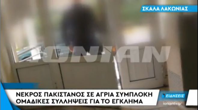 Νεκρός στη Λακωνία μετά από άγρια συμπλοκή Πακιστανών | Τι λέει αυτόπτης μάρτυρας (vd)