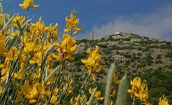 Εκπαίδευση με αντικείμενο τη δασοπυρόσβεση την Κυριακή στην Ασέα