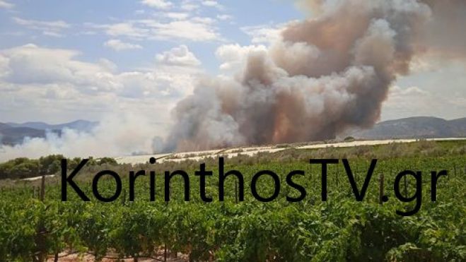 &Alpha;&nu;&epsilon;&xi;έ&lambda;&epsilon;&gamma;&kappa;&tau;&eta; &eta; &phi;&omega;&tau;&iota;ά &sigma;&tau;&omicron; &Sigma;&pi;&alpha;&theta;&omicron;&beta;&omicron;ύ&nu;&iota; &ndash; &pi;ά&epsilon;&iota; &pi;&rho;&omicron;&sigmaf; &Alpha;&rho;&chi;&alpha;ί&epsilon;&sigmaf; &Kappa;&lambda;&epsilon;&omega;&nu;έ&sigmaf; (vd)