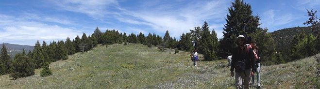 Η Φυσιολατρική Ομάδα Ερμιονίδος στην προστατευόμενη περιοχή του Πάρνωνα!