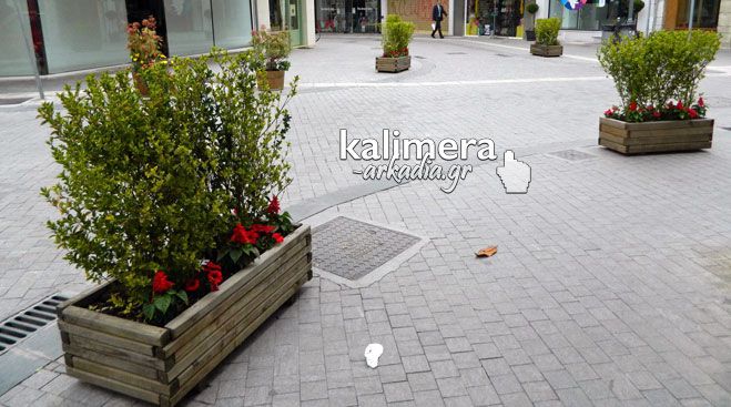 Ό&mu;&omicron;&rho;&phi;&eta; &laquo;&pi;&iota;&nu;&epsilon;&lambda;&iota;ά&raquo; &sigma;&tau;&omicron; &kappa;έ&nu;&tau;&rho;&omicron; &tau;&eta;&sigmaf; &Tau;&rho;ί&pi;&omicron;&lambda;&eta;&sigmaf; &omicron;&iota; &xi;ύ&lambda;&iota;&nu;&epsilon;&sigmaf; &gamma;&lambda;ά&sigma;&tau;&rho;&epsilon;&sigmaf; &mu;&epsilon; &pi;&omicron;&lambda;ύ&chi;&rho;&omega;&mu;&alpha; &lambda;&omicron;&upsilon;&lambda;&omicron;ύ&delta;&iota;&alpha; (&epsilon;&iota;&kappa;ό&nu;&epsilon;&sigmaf;)!