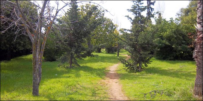 Σηματοδότηση για το 1ο πεζοπορικό μονοπάτι στο άλσος του Νοσοκομείου!