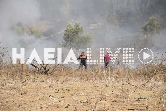 Μεγάλη φωτιά στην Ηλεία - Εκκενώνεται το χωριό Δάφνη (vd)