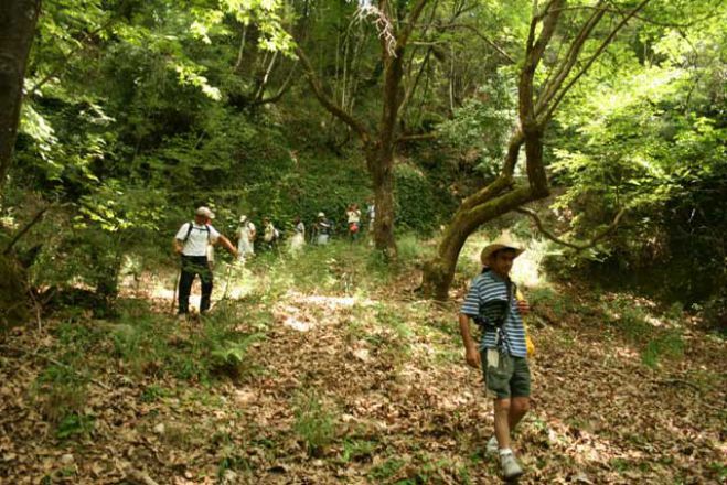 Βιδιάκι Γορτυνίας | Συνάντηση για να προχωρήσει η διάνοιξη μονοπατιού στο «Φαράγγι της Λαγκάδας»