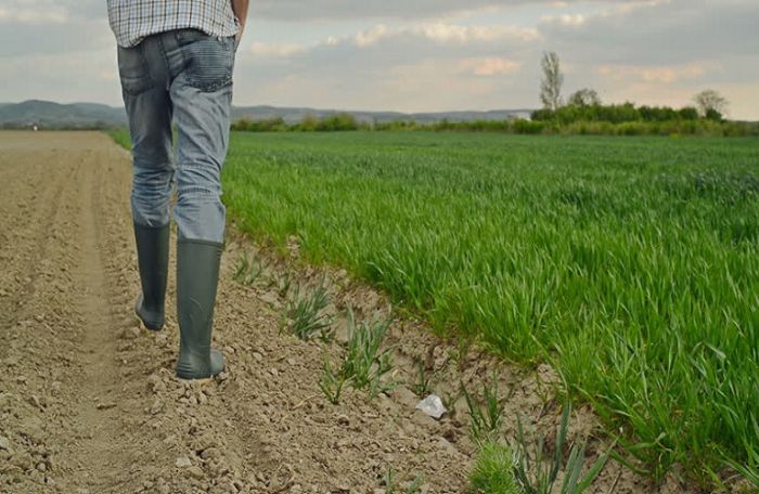 Άνεργοι θα προσλαμβάνονται ως εκπαιδευτές στα προγράμματα κατάρτισης αγροτών