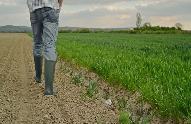 Άνεργοι θα προσλαμβάνονται ως εκπαιδευτές στα προγράμματα κατάρτισης αγροτών