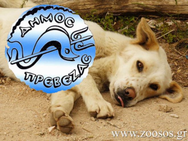 1 &epsilon;&upsilon;&rho;ώ &sigma;&epsilon; &kappa;ά&theta;&epsilon; &lambda;&omicron;&gamma;&alpha;&rho;&iota;&alpha;&sigma;&mu;ό &nu;&epsilon;&rho;&omicron;ύ &gamma;&iota;&alpha; &alpha;&delta;έ&sigma;&pi;&omicron;&tau;&alpha; &alpha;&pi;&omicron;&phi;ά&sigma;&iota;&sigma;&alpha;&nu; &sigma;&tau;&eta;&nu; &Pi;&rho;έ&beta;&epsilon;&zeta;&alpha;!