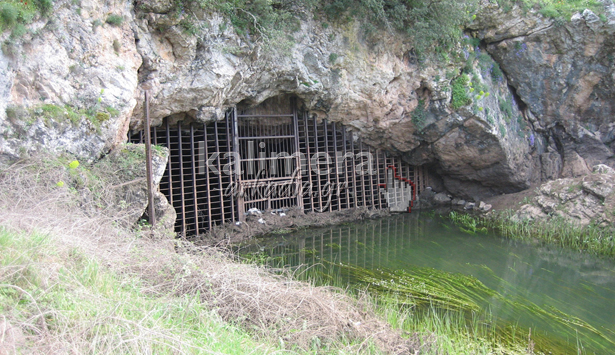 Ά&lambda;&lambda;&alpha; 7 &laquo;ά&gamma;&nu;&omega;&sigma;&tau;&alpha;&raquo; &kappa;&alpha;&iota; &laquo;&psi;&alpha;&gamma;&mu;έ&nu;&alpha;&raquo; &mu;έ&rho;&eta; &gamma;ύ&rho;&omega; &alpha;&pi;ό &tau;&eta;&nu; &Tau;&rho;ί&pi;&omicron;&lambda;&eta;! (&epsilon;&iota;&kappa;ό&nu;&epsilon;&sigmaf;)