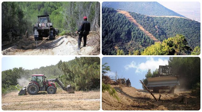Σε εξέλιξη έργα για αντιπυρικές ζώνες σε χωριά της Γορτυνίας