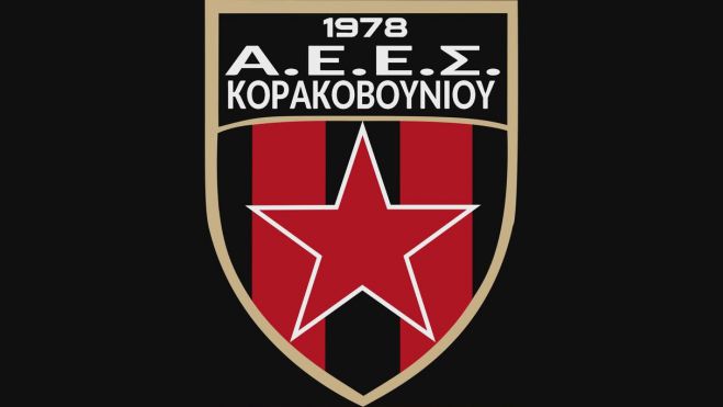 Νέα διοίκηση στον Αθλητικό Εκπολιτιστικό Επιμορφωτικό Σύλλογο (ΑΕΕΣ) Κορακοβουνίου - Πρόεδρος η Μαρία Κουρμπέλη