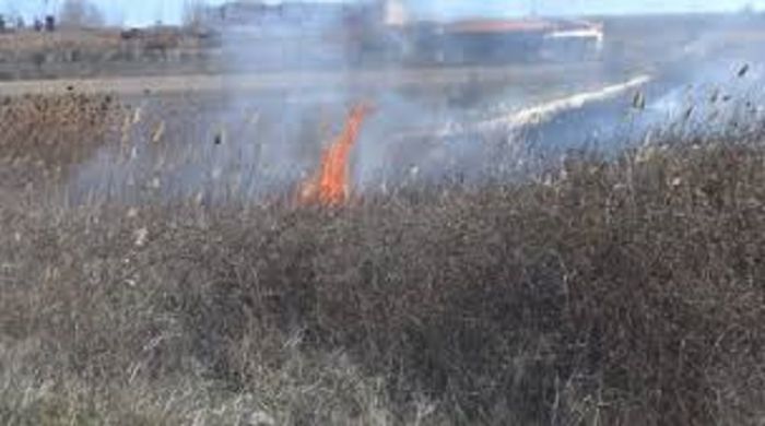 &Phi;&omega;&tau;&iota;ά &sigma;&epsilon; έ&kappa;&tau;&alpha;&sigma;&eta; &mu;&epsilon; &kappa;&alpha;&lambda;&alpha;&mu;&iota;έ&sigmaf; &sigma;&tau;&eta; &Phi;&tau;έ&rho;&eta;