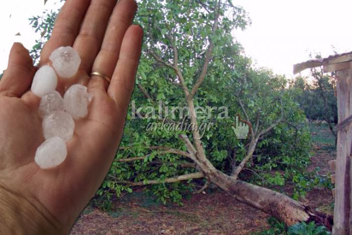&Pi;&lambda;&eta;&rho;ώ&nu;&epsilon;&iota; &tau;&eta;&nu; &Pi;έ&mu;&pi;&tau;&eta; &omicron; &Epsilon;&Lambda;&Gamma;&Alpha; &sigma;&tau;&eta;&nu; &Alpha;&rho;&kappa;&alpha;&delta;ί&alpha;