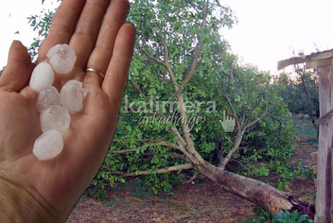 &Pi;&lambda;&eta;&rho;ώ&nu;&epsilon;&iota; &tau;&eta;&nu; &Pi;έ&mu;&pi;&tau;&eta; &omicron; &Epsilon;&Lambda;&Gamma;&Alpha; &sigma;&tau;&eta;&nu; &Alpha;&rho;&kappa;&alpha;&delta;ί&alpha;