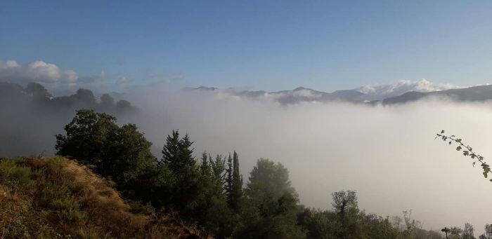 Σκεπασμένο στην ομίχλη το χωριό Ράχες Γορτυνίας