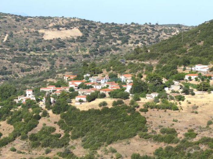 &Epsilon;&kappa;&lambda;&omicron;&gamma;έ&sigmaf; &sigma;&tau;&omicron; &sigma;ύ&lambda;&lambda;&omicron;&gamma;&omicron; &phi;ί&lambda;&omega;&nu; &Omicron;&rho;&epsilon;&iota;&nu;ή&sigmaf; &Mu;&epsilon;&lambda;&iota;&gamma;&omicron;ύ&sigmaf;