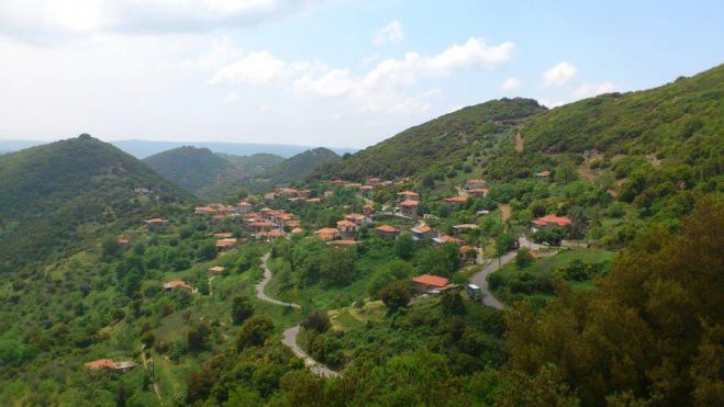 Παραιτήθηκε η Πρόεδρος της Δημοτικής Κοινότητας Καρδαριτσίου