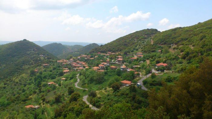 &Pi;&alpha;&rho;&alpha;&iota;&tau;ή&theta;&eta;&kappa;&epsilon; &eta; &Pi;&rho;ό&epsilon;&delta;&rho;&omicron;&sigmaf; &tau;&eta;&sigmaf; &Delta;&eta;&mu;&omicron;&tau;&iota;&kappa;ή&sigmaf; &Kappa;&omicron;&iota;&nu;ό&tau;&eta;&tau;&alpha;&sigmaf; &Kappa;&alpha;&rho;&delta;&alpha;&rho;&iota;&tau;&sigma;ί&omicron;&upsilon;