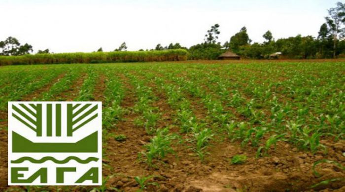 &Epsilon;&Lambda;&Gamma;&Alpha; - &Pi;&lambda;&eta;&rho;ώ&nu;&epsilon;&iota; &alpha;&pi;&omicron;&zeta;&eta;&mu;&iota;ώ&sigma;&epsilon;&iota;&sigmaf; &sigma;&tau;&eta;&nu; &Alpha;&rho;&kappa;&alpha;&delta;ί&alpha;