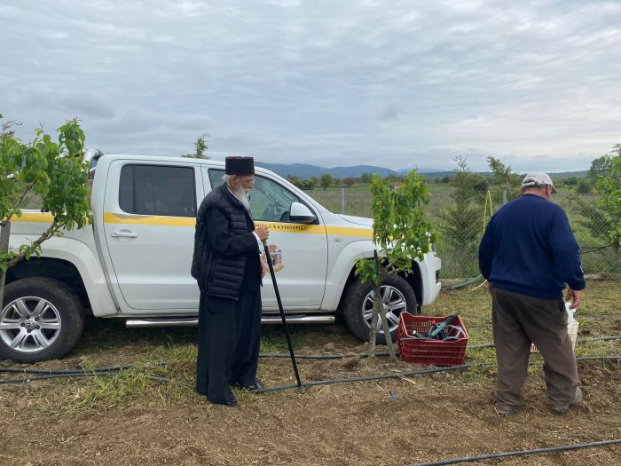 &Lambda;&alpha;&chi;&alpha;&nu;&iota;&kappa;ά &kappa;&alpha;&iota; &phi;&rho;&omicron;ύ&tau;&alpha; &phi;&upsilon;&tau;&epsilon;ύ&tau;&eta;&kappa;&alpha;&nu; &sigma;&epsilon; &kappa;&tau;ή&mu;&alpha;&tau;&alpha; &tau;&eta;&sigmaf; &Epsilon;&kappa;&kappa;&lambda;&eta;&sigma;ί&alpha;&sigmaf; &sigma;&tau;&omicron; &omicron;&rho;&omicron;&pi;έ&delta;&iota;&omicron; &Mu;&alpha;&nu;&tau;&iota;&nu;&epsilon;ί&alpha;&sigmaf; (&epsilon;&iota;&kappa;ό&nu;&epsilon;&sigmaf;)