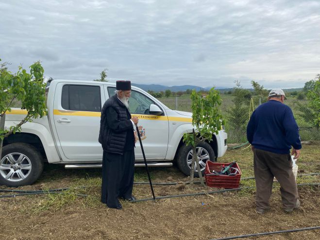 &Lambda;&alpha;&chi;&alpha;&nu;&iota;&kappa;ά &kappa;&alpha;&iota; &phi;&rho;&omicron;ύ&tau;&alpha; &phi;&upsilon;&tau;&epsilon;ύ&tau;&eta;&kappa;&alpha;&nu; &sigma;&epsilon; &kappa;&tau;ή&mu;&alpha;&tau;&alpha; &tau;&eta;&sigmaf; &Epsilon;&kappa;&kappa;&lambda;&eta;&sigma;ί&alpha;&sigmaf; &sigma;&tau;&omicron; &omicron;&rho;&omicron;&pi;έ&delta;&iota;&omicron; &Mu;&alpha;&nu;&tau;&iota;&nu;&epsilon;ί&alpha;&sigmaf; (&epsilon;&iota;&kappa;ό&nu;&epsilon;&sigmaf;)