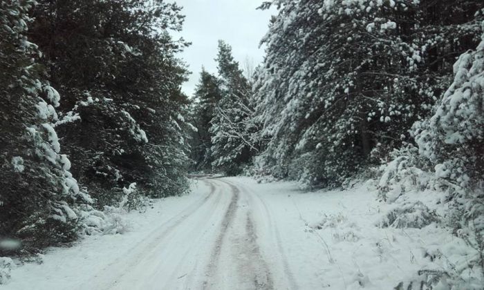 Γορτυνία - Το πανέμορφο χιονισμένο δάσος της Κάπελης (εικόνες)!
