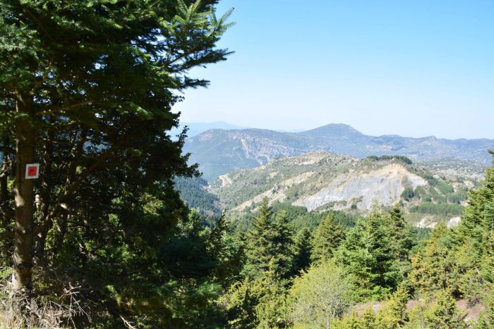 Menalon Trail, Pan Trail, Arcadia Trail | Ενημέρωση για τα νέα μονοπάτια στο Διασυνεδριακό Δημητσάνας