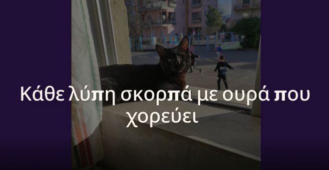 Γκομπολίνο | Το μικρό μονόφθαλμο γατάκι που υιοθέτησαν και λάτρεψαν στο 1ο Δημοτικό Σχολείο Τρίπολης! (εικόνες - βίντεο)