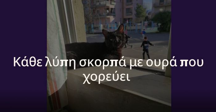 Γκομπολίνο | Το μικρό μονόφθαλμο γατάκι που υιοθέτησαν και λάτρεψαν στο 1ο Δημοτικό Σχολείο Τρίπολης! (εικόνες - βίντεο)