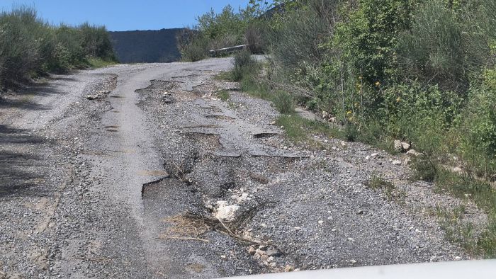 &Eta; &Lambda;&alpha;ϊ&kappa;ή &Sigma;&upsilon;&sigma;&pi;&epsilon;ί&rho;&omega;&sigma;&eta; &zeta;&eta;&tau;ά &alpha;&pi;&alpha;&nu;&tau;ή&sigma;&epsilon;&iota;&sigmaf; &gamma;&iota;&alpha; &tau;&alpha; &pi;&rho;&omicron;&beta;&lambda;ή&mu;&alpha;&tau;&alpha; &pi;&rho;ό&sigma;&beta;&alpha;&sigma;&eta;&sigmaf; &sigma;&tau;&eta;&nu; &kappa;&omicron;&iota;&lambda;ά&delta;&alpha; &tau;&omicron;&upsilon; &Lambda;&omicron;ύ&sigma;&iota;&omicron;&upsilon;