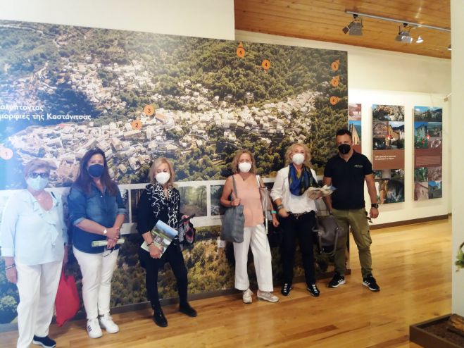 &Xi;&epsilon;&nu;ά&gamma;&eta;&sigma;&eta; &omicron;&mu;ά&delta;&alpha;&sigmaf; &epsilon;&pi;&iota;&sigma;&kappa;&epsilon;&pi;&tau;ώ&nu; &alpha;&pi;ό &tau;&eta;&nu; &Alpha;&theta;ή&nu;&alpha; &sigma;&tau;&omicron;&nu; &pi;&alpha;&rho;&alpha;&delta;&omicron;&sigma;&iota;&alpha;&kappa;ό &omicron;&iota;&kappa;&iota;&sigma;&mu;ό &tau;&eta;&sigmaf; &Kappa;&alpha;&sigma;&tau;ά&nu;&iota;&tau;&sigma;&alpha;&sigmaf; (&epsilon;&iota;&kappa;ό&nu;&epsilon;&sigmaf;)