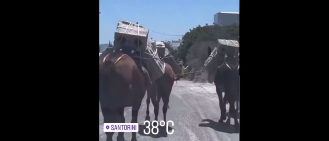 &Sigma;&alpha;&nu;&tau;&omicron;&rho;ί&nu;&eta; | &Mu;&omicron;&upsilon;&lambda;ά&rho;&iota;&alpha; &kappa;&omicron;&upsilon;&beta;&alpha;&lambda;&omicron;ύ&nu; &tau;&sigma;&iota;&mu;&epsilon;&nu;&tau;ό&lambda;&iota;&theta;&omicron;&upsilon;&sigmaf; &mu;έ&sigma;&alpha; &sigma;&tau;&omicron;&nu; &kappa;&alpha;ύ&sigma;&omega;&nu;&alpha;, &pi;&alpha;&rho;ά &tau;&eta;&nu; &alpha;&pi;&alpha;&gamma;ό&rho;&epsilon;&upsilon;&sigma;&eta; (vd)