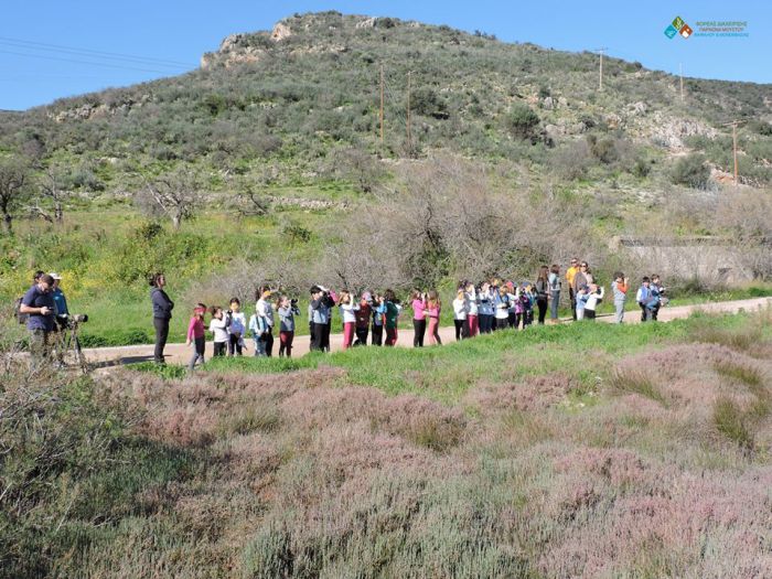 &Tau;&omicron; &Delta;&eta;&mu;&omicron;&tau;&iota;&kappa;ό &Sigma;&chi;&omicron;&lambda;&epsilon;ί&omicron; &Tau;&upsilon;&rho;&omicron;&sigma;&alpha;&pi;&omicron;&upsilon;&nu;&alpha;&kappa;&alpha;ί&iota;&kappa;&omega;&nu; &sigma;&tau;&eta; &lambda;&iota;&mu;&nu;&omicron;&theta;ά&lambda;&alpha;&sigma;&sigma;&alpha; &tau;&omicron;&upsilon; &Mu;&omicron;&upsilon;&sigma;&tau;&omicron;ύ (&epsilon;&iota;&kappa;ό&nu;&epsilon;&sigmaf;)